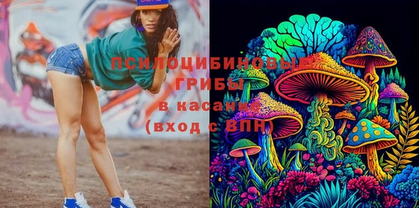 mdpv Балахна