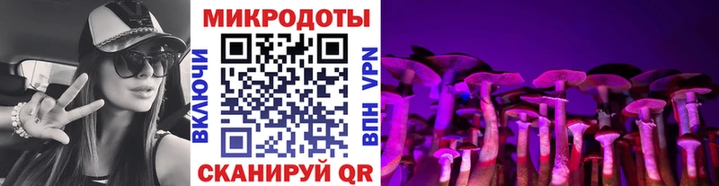 Галлюциногенные грибы Magic Shrooms  Зима 