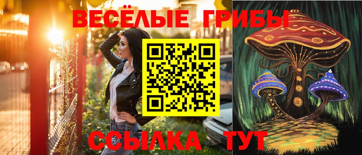 Псилоцибиновые грибы прущие грибы  Псилоцибиновые грибы мухоморы  Вход с VPN  Зима 